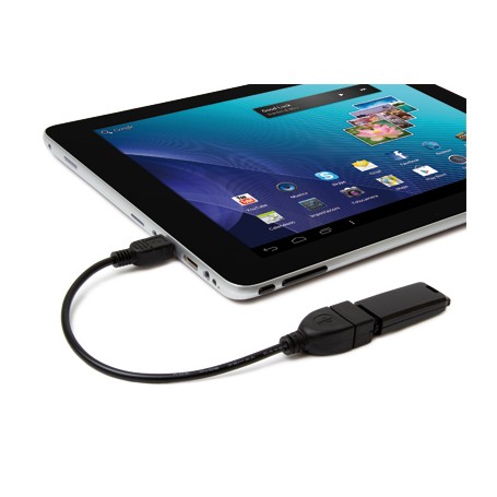 Hamlet Cavo Exagerate Zelig Pad Cable adattatore da mini usb ad usb femmina (XUMINIAD)