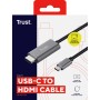 CALYX USB-C TO HDMI CABLE (23332)