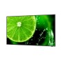 NEC MultiSync E658 165,1 cm (65") IPS 4K Ultra HD Nero (60005059)