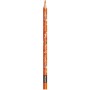CF 12 MINI CUTE MATITE COLORATE (862201)