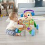 Fisher-Price Cagnolino Primi Passi - Ridi & Impara, Edizione multilingue, giocattolo musicale per camminare Giocattolo  (HHX15A)