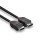 Lindy 36491 cavo DisplayPort 1 m Nero (36491-LND)