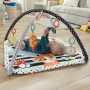 Fisher-Price HBP41 palestra per bambino e tappeto di gioco Multicolore Palestrina a tappeto per bambino (HBP41)