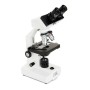 MICROSCOPIO LABS CB2000CF (CM44131)