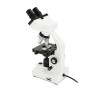 MICROSCOPIO LABS CB2000CF (CM44131)