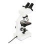 MICROSCOPIO LABS CB2000CF (CM44131)