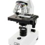MICROSCOPIO LABS CB2000CF (CM44131)