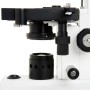 MICROSCOPIO LABS CB2000CF (CM44131)