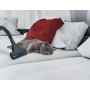 Hoover Breeze BR32PET 011 2 L A cilindro Secco 550 W Senza sacchetto (39002173)