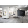 Neomounts supporto da palo per TV (FL40-430BL14)