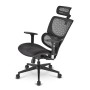 Sharkoon OfficePal C30 Seduta a nido Schienale a rete (OFFICEPAL C30)
