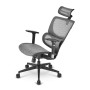 Sharkoon OfficePal C30M Seduta in rete Schienale a rete (OFFICEPAL C30M)