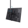 StarTech.com Supporto da Soffitto per TV a schermo piatto da 32" a 70" LCD, LED o Plasma (FLATPNLCEIL)