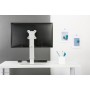 Neomounts by Newstar Supporto da scrivania per monitor (FPMA-D890WHITE)