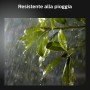 Philips Hue White and Color ambiance 8718699709853 soluzione di illuminazione intelligente Striscia LED intellig  (929002289102)