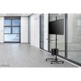 Neomounts by Newstar FPMA-MOBILE1700 carrello e supporto multimediale Nero (FPMA-MOBILE1700)
