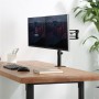 StarTech.com ARMDUAL3 supporto da tavolo per Tv a schermo piatto 81,3 cm (32") Morsa Nero (ARMDUAL3)