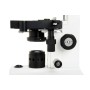 Celestron LABS CM2000-CF 2000x Microscopio ottico (CM44130)