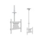 Multibrackets 2494 Supporto per display espositivi 139,7 cm (55") Bianco (MB2494)