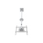 Multibrackets 2494 Supporto per display espositivi 139,7 cm (55") Bianco (MB2494)