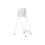 Samsung STN-WM55RXEN Supporto TV a parete 139,7 cm (55") Grigio (STN-WM55RXEN)