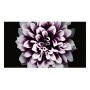 Samsung LH016IWJMWS Pannello piatto per segnaletica digitale 4,27 cm (1.68") LED Nero Tizen (LH016IWJMWS/XU)
