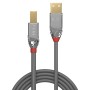 Lindy 36642 cavo USB 2 m USB 2.0 USB A USB B Grigio (36642)