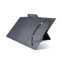 EcoFlow Pannello Solare 160W (50033001)
