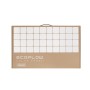 EcoFlow Pannello Solare 160W (50033001)