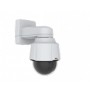 Axis P5654-E Cupola Telecamera di sicurezza IP Esterno 1280 x 720 Pixel Soffitto/muro (01758-001)