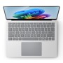 LAPTOP7 13 C12/16/512 PLAT (ZGZ-00010)