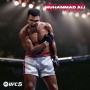 Electronic Arts EA Sports UFC 5 Standard PlayStation 5 (117259)