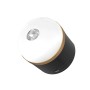 EcoFlow SCLI-B lanterna da campeggio Lanterna da campeggio a batteria Porta USB (ECW.SCLI-B)
