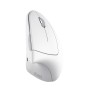 VERTO WIRELESS ERGO MOUSE WHT (25132)