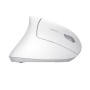 VERTO WIRELESS ERGO MOUSE WHT (25132)