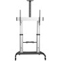 StarTech.com Mobile TV Stand girevole su ruote - Carrello porta TV resistente per schermi da 60-100" (100kg) - Supp (STNDMTV100)