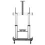 StarTech.com Mobile TV Stand girevole su ruote - Carrello porta TV resistente per schermi da 60-100" (100kg) - Supp (STNDMTV100)
