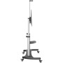 StarTech.com Mobile TV Stand girevole su ruote - Carrello porta TV resistente per schermi da 60-100" (100kg) - Supp (STNDMTV100)