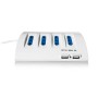 Ewent EW3934 prolunghe e multiple 2 m 5 presa(e) AC Interno Blu, Bianco (CEEW3934)