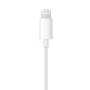EARPODS WITH LIGHTNING CONNECTOR (MWTY3ZM/A)