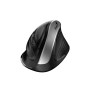 GENIUS MOUSE ERGONOMIC WIR. ERGO 8250S VERTICALE + POGGIAPOLSO SILVER GRAY/ (31030031401)