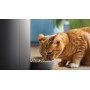 DISTRIBUZIONE FOOD SECCO CON WEBCAM PHILIPS PAW5320/02 4.5 CANE GATTO