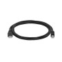 CAVO USB 2.0 A/B M/M 5M (XCU2AB50)