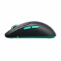M68 WIRELESS BLACK MOUSE (CX-M68W-BLACK)