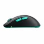 M64 WIRELESS BLACK MOUSE (CX-M64W-BLACK)