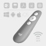 Logitech R500 Laser Presentation Remote (910-006520)