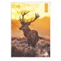CF10 QUADERNI ANIMAL A4 80GR R.10MM (0110382)