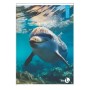CF 10 QUADERNI ANIMAL A4 80GR R.C (0110377)