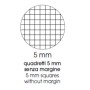 CF4 QUAD MAXICARTONAT A4 70GR R.5MM (0120181)
