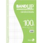 RICAMBI RINF. BANDUP 100G A4 R.10MM (0111984)